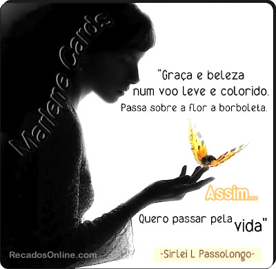 Graça e beleza num voo leve e colorido. Passa sobre a flor a...