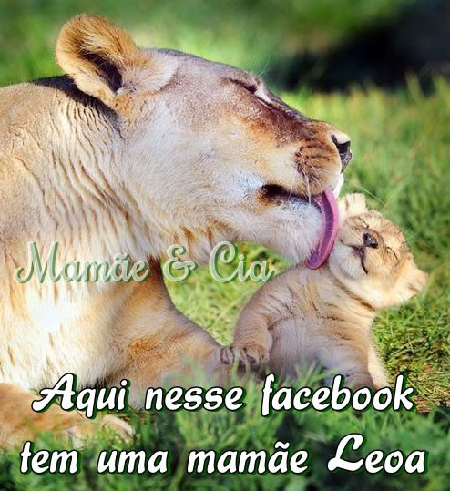 Aqui nesse facebook tem uma mamãe Leoa