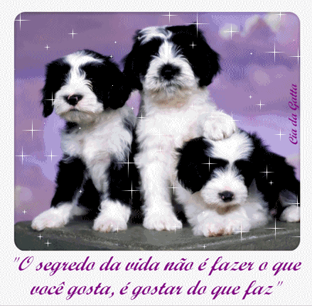 O segredo da vida é não fazer o que você gosta, é...