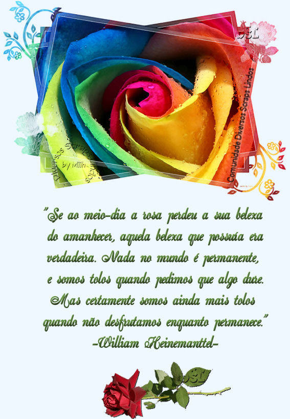 Se ao meio-dia a rosa perdeu a sua beleza do amanhecer, aquela beleza que...