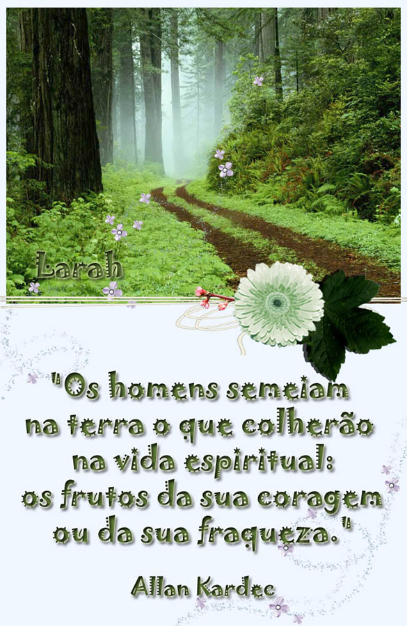 Os homens semeiam na terra o que colherão na vida espiritual: os...