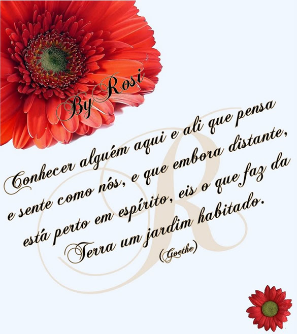 Conhecer alguém aqui e ali que pensa e sente como nós, e que...