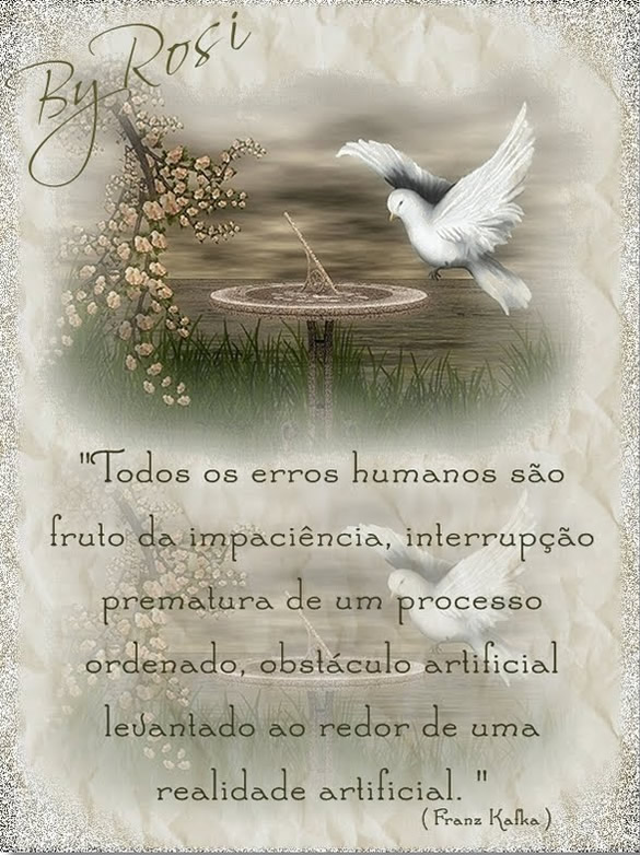 Todos os erros humanos são fruto da impaciência...