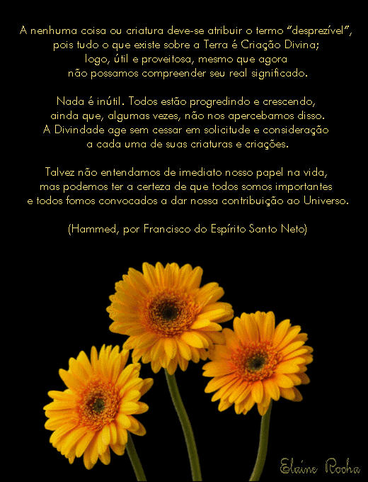 Sabedoria de Famosos imagem