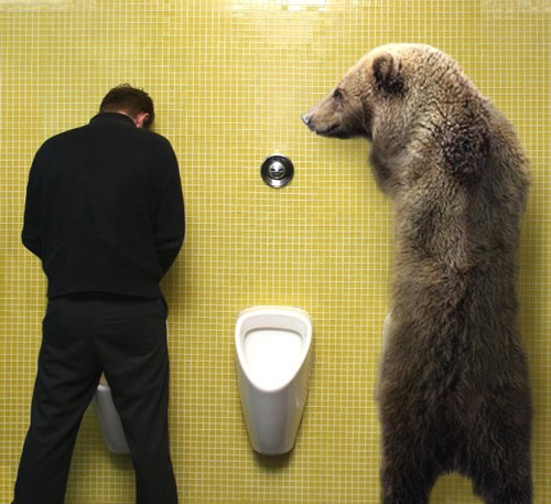 Humor com Animais imagem 15