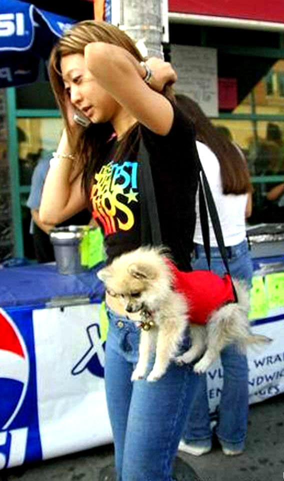 Humor com Animais imagem 16