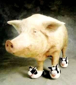 Humor com Animais imagem 18