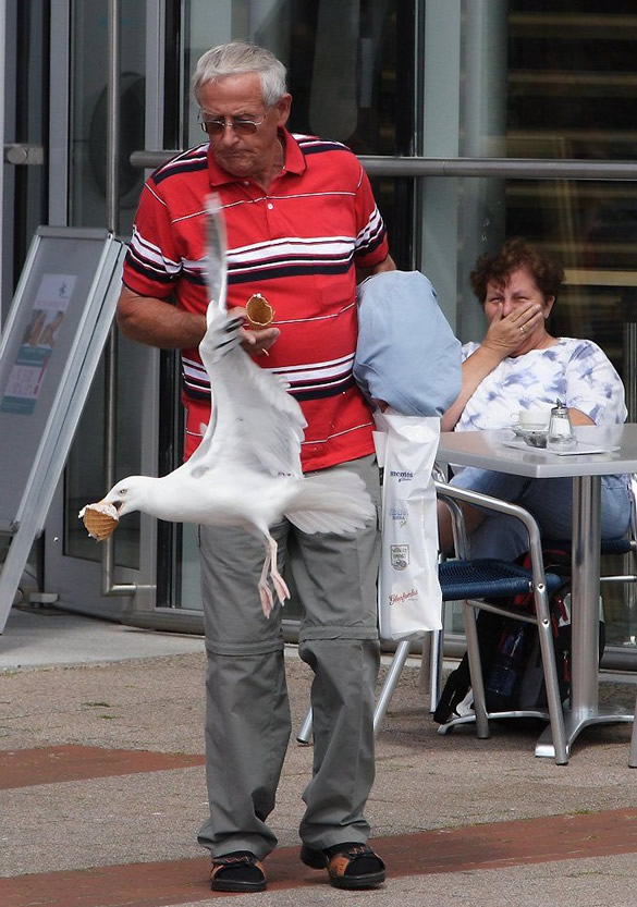 Humor com Animais imagem 5