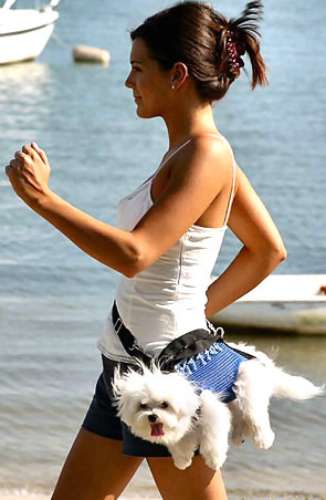 Humor com Animais imagem 13