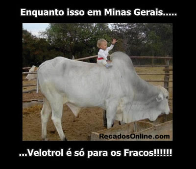 Humor com Animais imagem 15