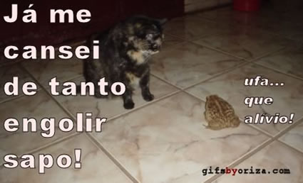 Humor com Animais imagem 20