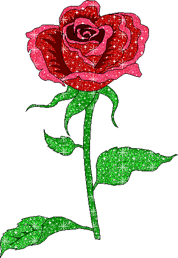 Rosas imagem