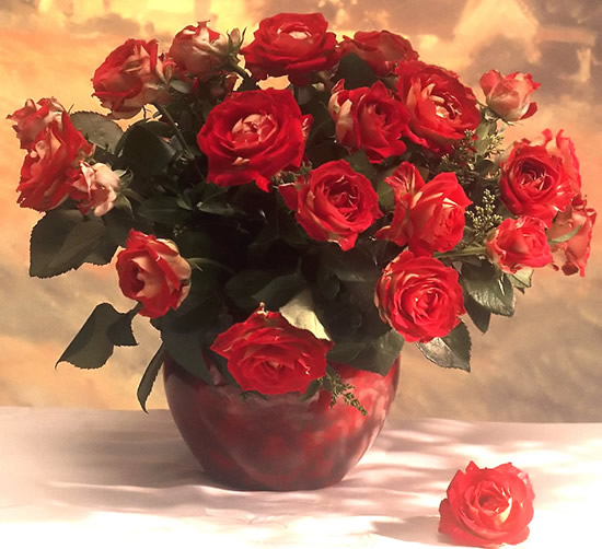 Rosas imagem