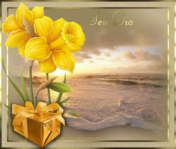 Seu Dia