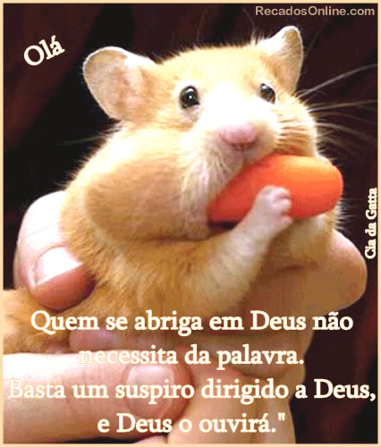 Quem se abriga em Deus não necessita da palavra. Basta um suspiro...