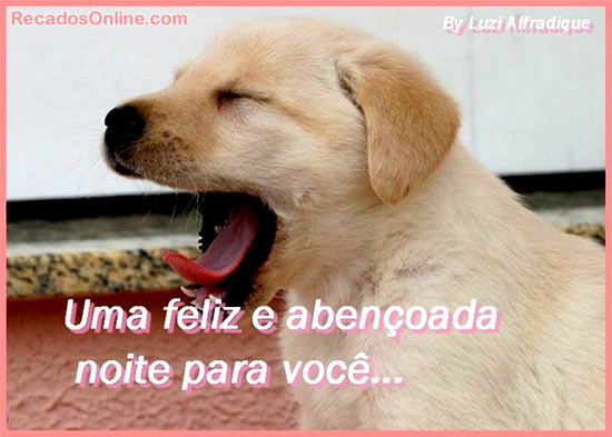 Uma feliz e abençoada noite para você...