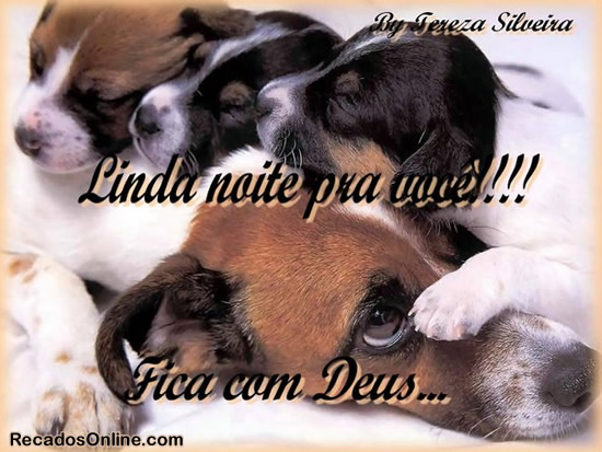 Linda noite pra você!!! Fica com Deus...