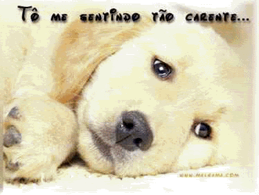 Tô me sentindo tão carente...