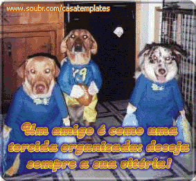 Um amigo é como uma torcida organizada: deseja sempre a sua...