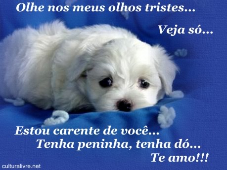 Olhe nos meus olhos tristes... Veja só... Estou carente de...