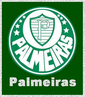 Palmeiras imagem 11