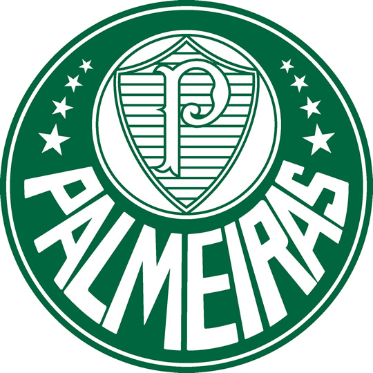 Palmeiras imagem 13