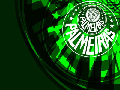 Palmeiras imagem 15