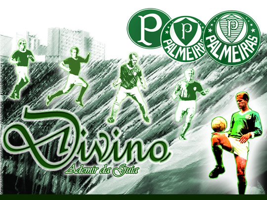 Palmeiras imagem 16