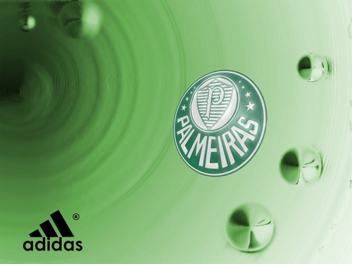 Palmeiras imagem 17
