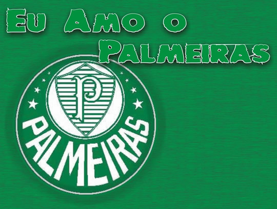 Palmeiras imagem 18