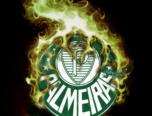 Palmeiras imagem 19