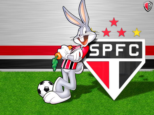 São Paulo imagem 15