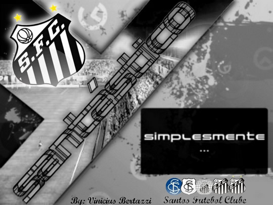 Santos imagem 9