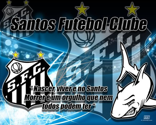 Santos imagem 11