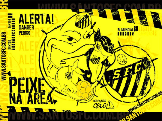 Santos imagem 13