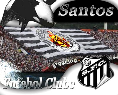 Santos imagem 17