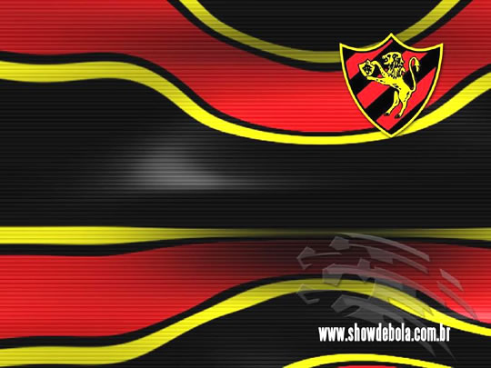 Sport Recife imagem 14