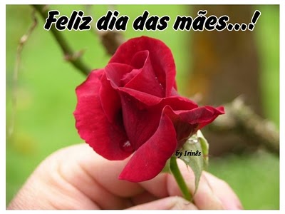 Feliz Dia das Mães!