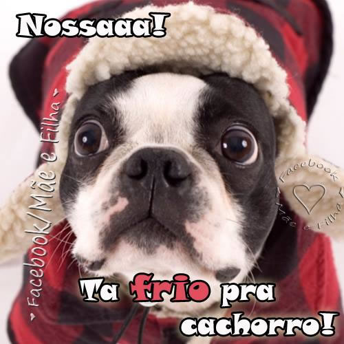 Nossa! Ta frio pra cachorro!