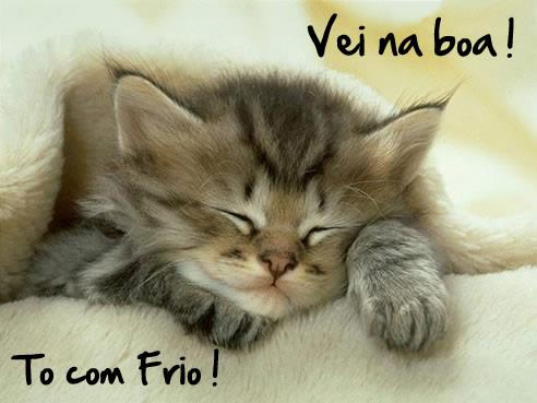 Vei na boa! To com Frio!