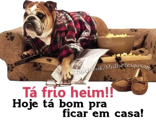 Tá frio heim! Hoje tá bom pra ficar em casa!