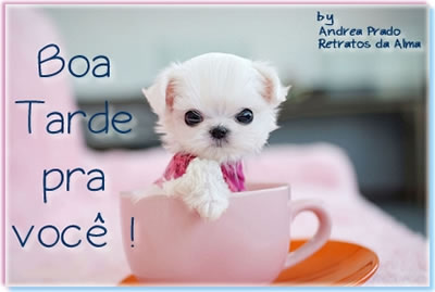 Boa Tarde pra você!