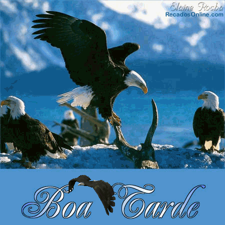Boa Tarde