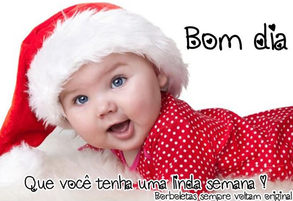 Bom dia. Que você tenha uma linda semana. Borboletas sempre voltam...