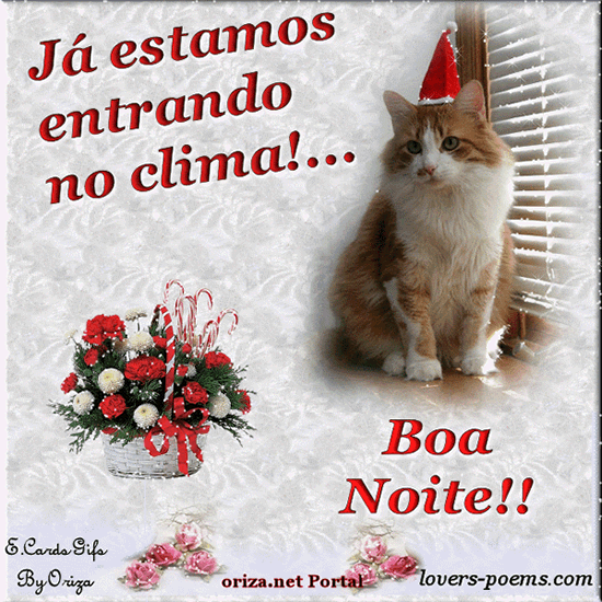 Já estamos entrando no clima! Boa noite!