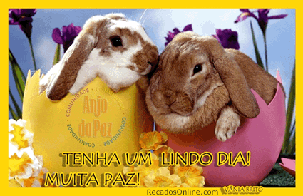 Tenha um lindo dia! Muita paz!