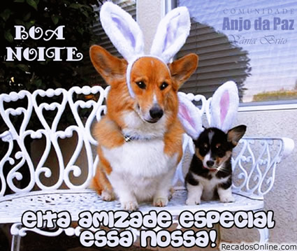 Boa Noite! Eita amizade especial essa nossa!