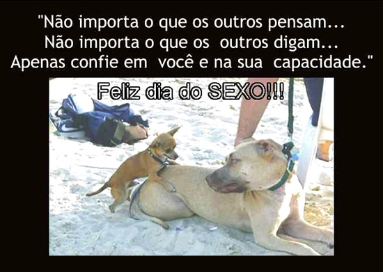 Não importa o que os outros pensam... Não importa o que os...