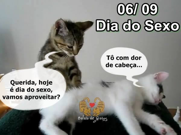 06/09 Dia do Sexo. Querida, hoje é Dia do Sexo, vamos aproveitar?...