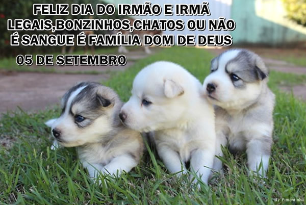 Feliz Dia do Irmão e Irmã legais, bonzinhos, chatos ou...